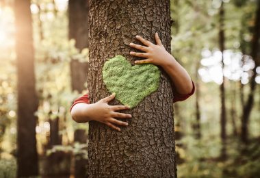 Nature lover, close up of child hands hugging tree with copy space